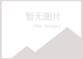 田东县向彤水泥有限公司